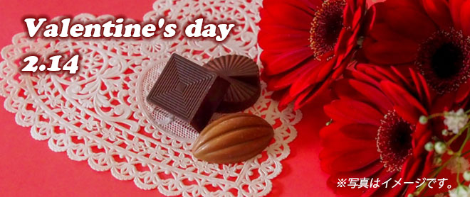 バレンタインチョコレートをプレゼント！